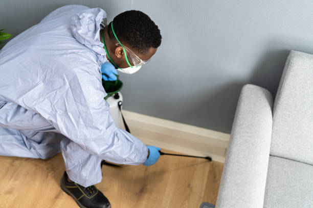 Best Fumigation Services  in Kalamazoo, MI